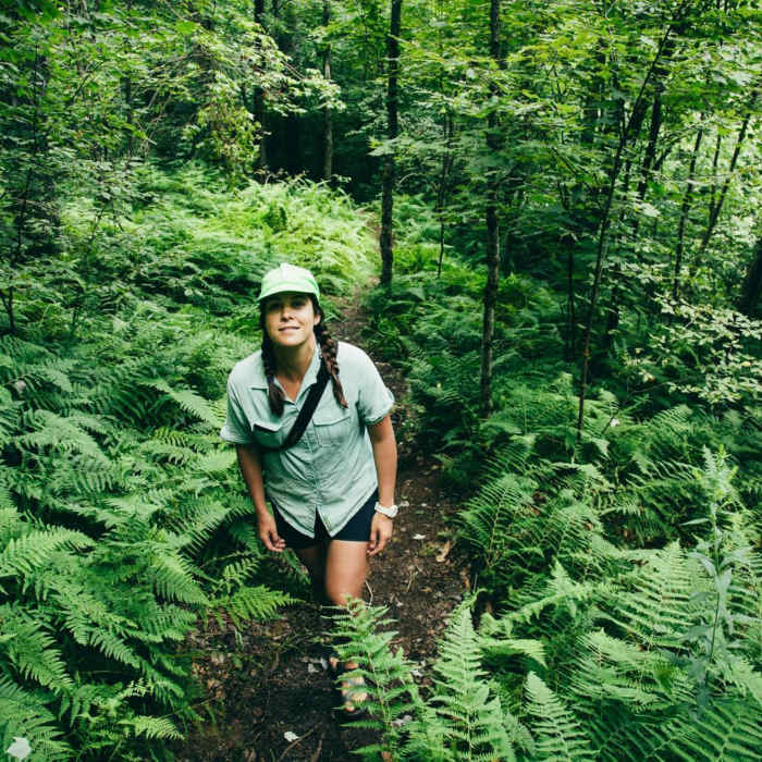 Heading up through the ferns Near Horseshoe Lake to Low's Ridge