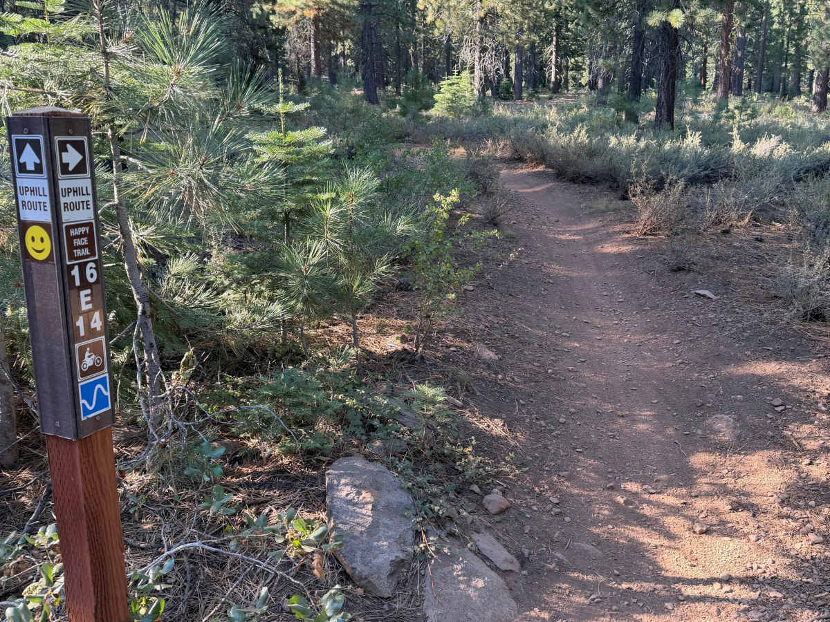 Happy Face (Uphill) photo 3