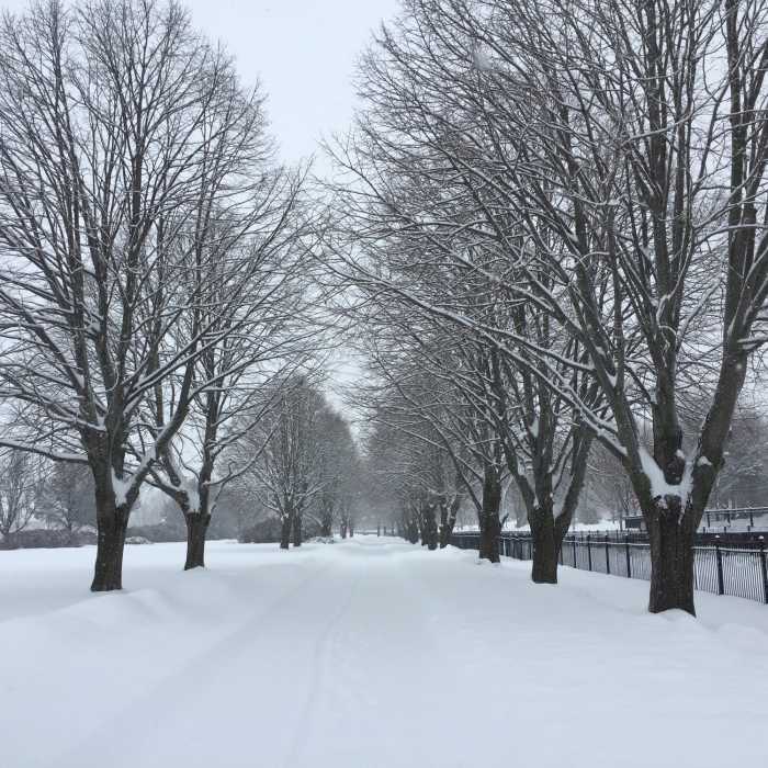 Near Burlington Greenway