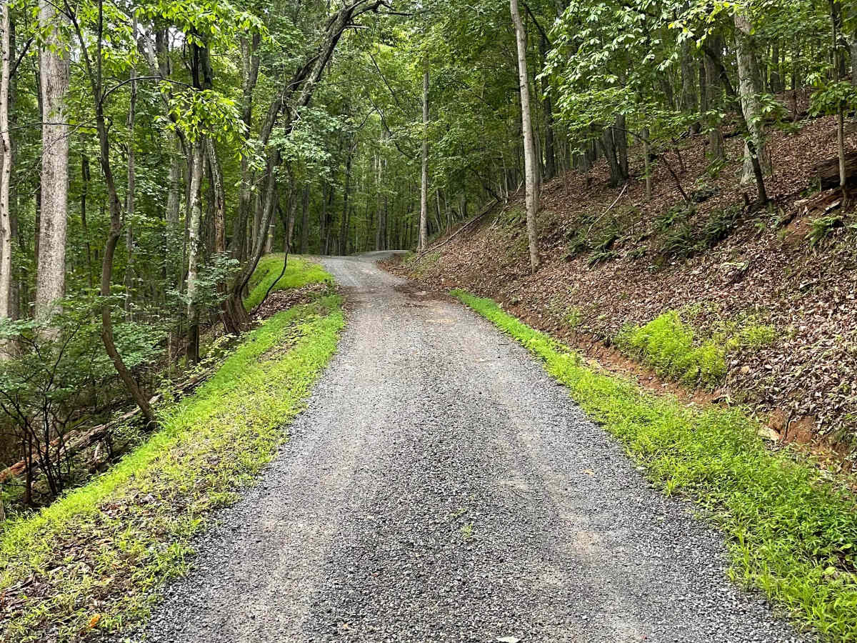 Salt Pond Road photo 4