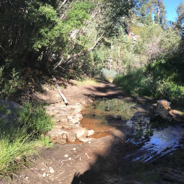 Water crossing on the trail. Near Plantation Trail (1W12)