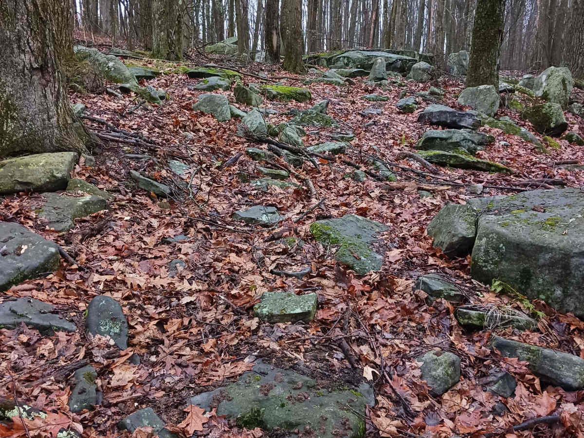 OHV 41 - Rock Run Recreation Area photo 3
