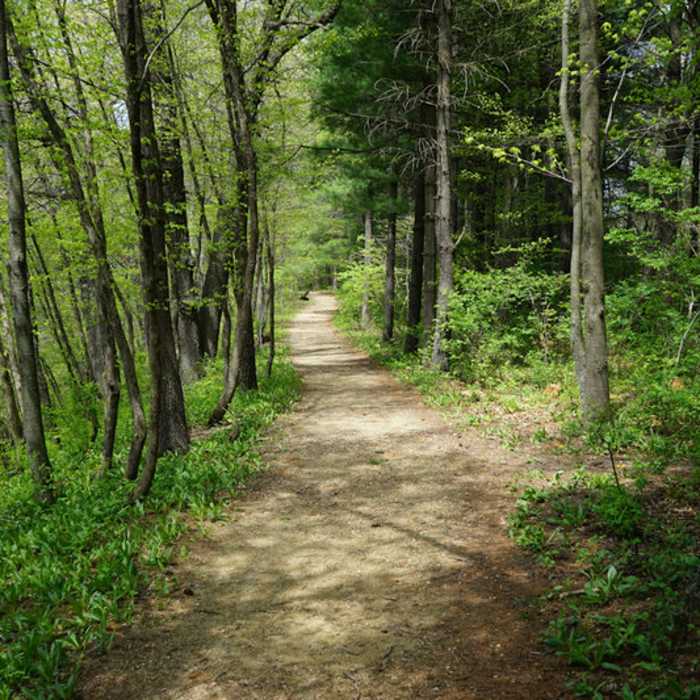 Walk along the river bluff. Sharp drop off the trail to the left. Watch the kids and pets. Near Sunset Nature Trail