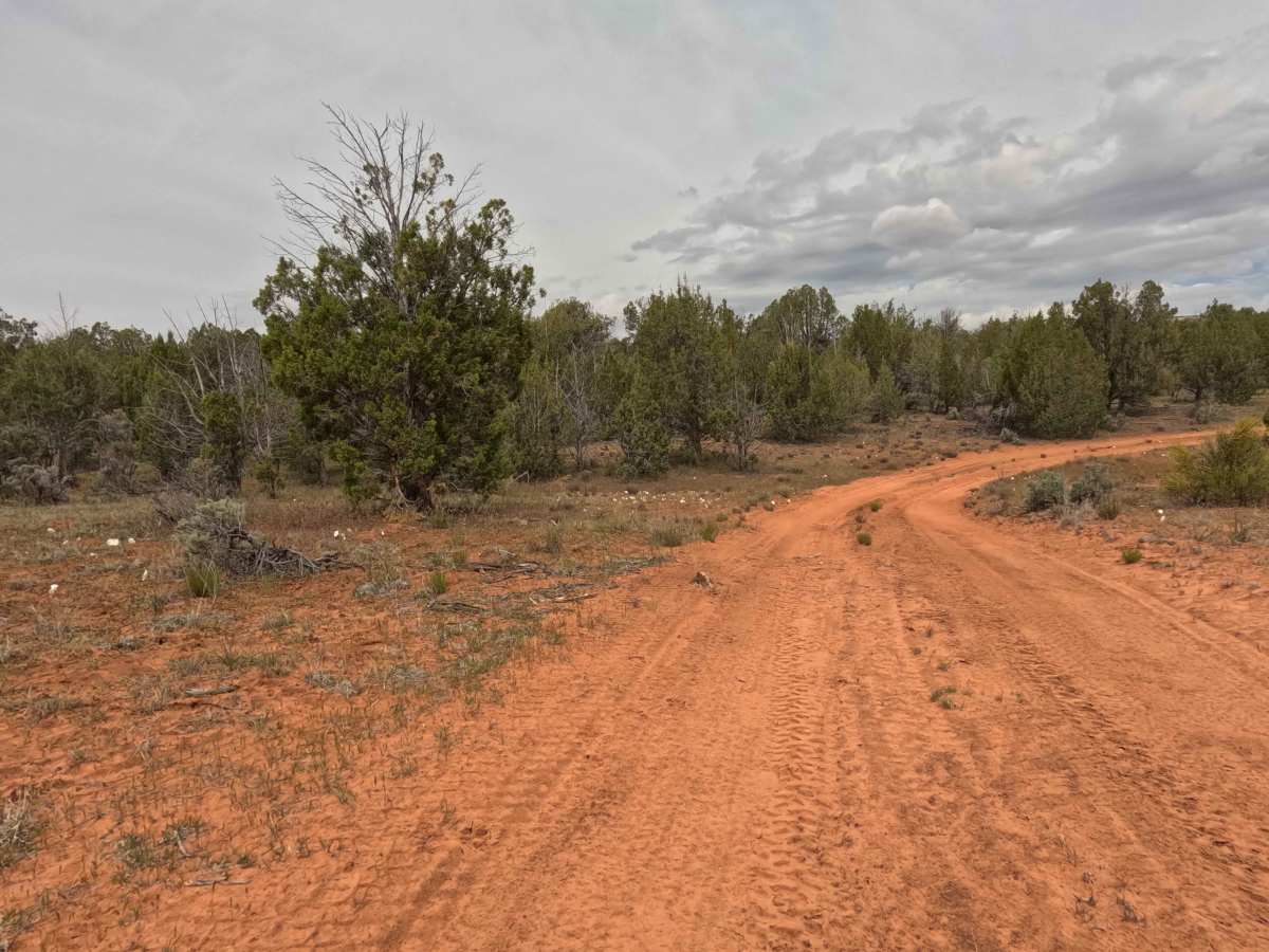BLM 64X photo 4