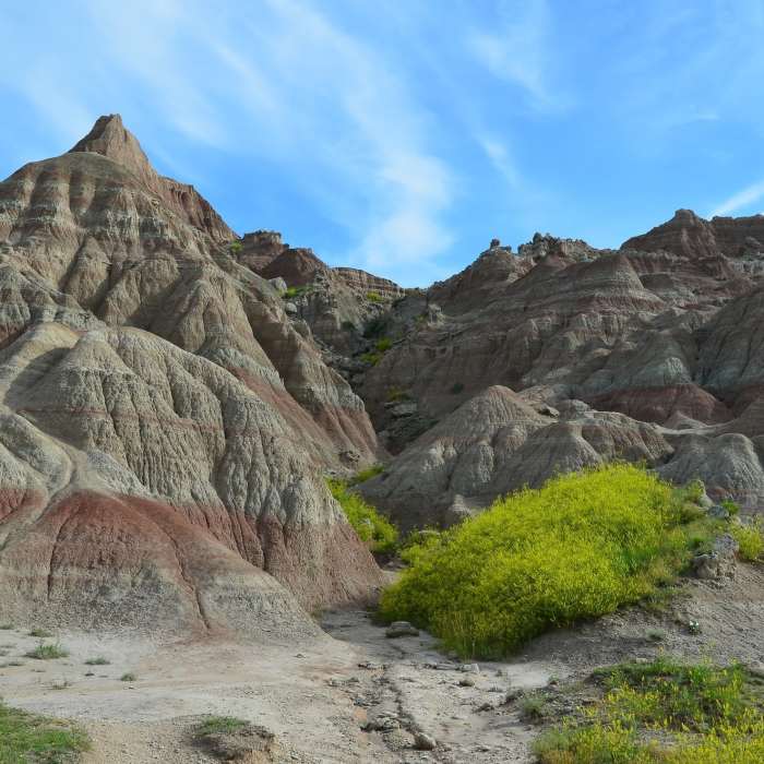 Near Saddle Pass Trail