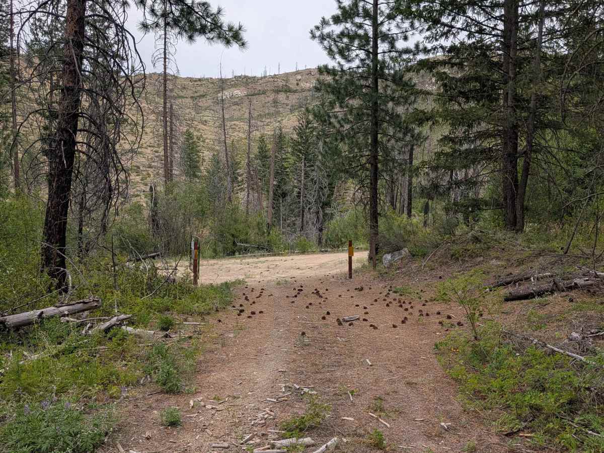 FS 4150-265 trail photo