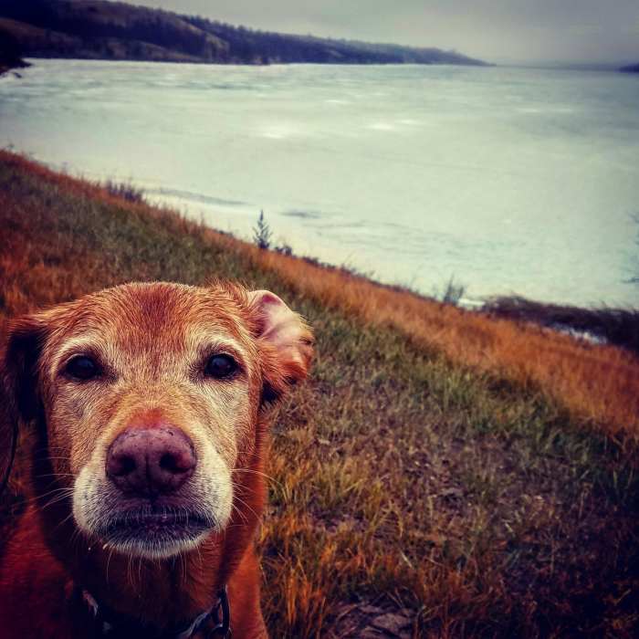 Des Lacs and the old man Near Canada Goose Nature Trail
