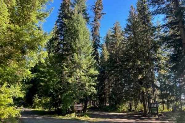 Barriere Lake Rec Sites