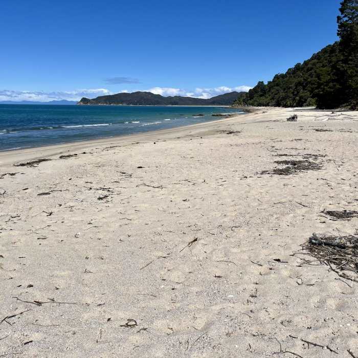 Near Totaranui Beach Track to Waiharakeke Bay