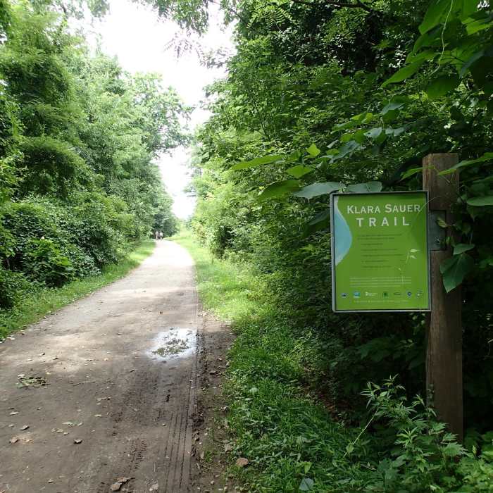 Near Dennings Point Trail