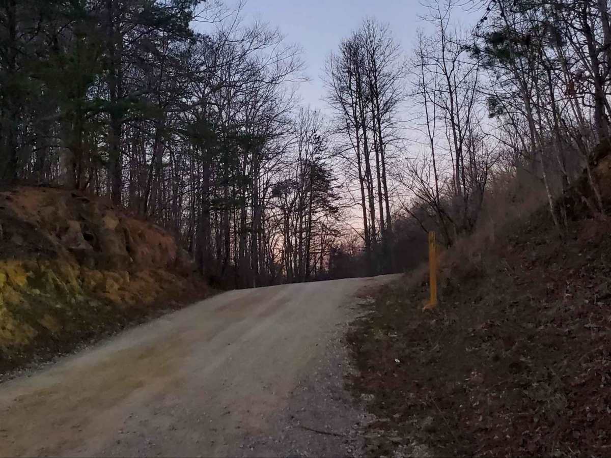 Wagoners Branch Road trail photo