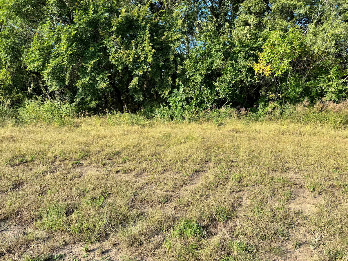 Clutch Kick Corner trail photo