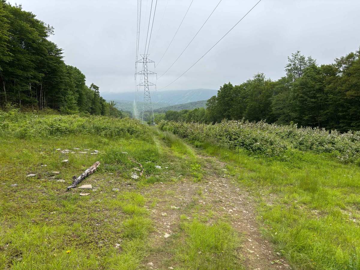 Vinnedge PFAR photo 6