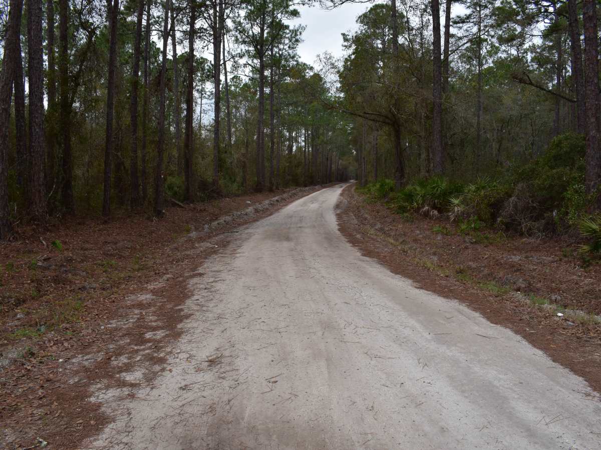 FR 732 photo 3