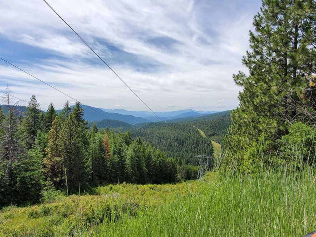 Chewelah Creek trail photo