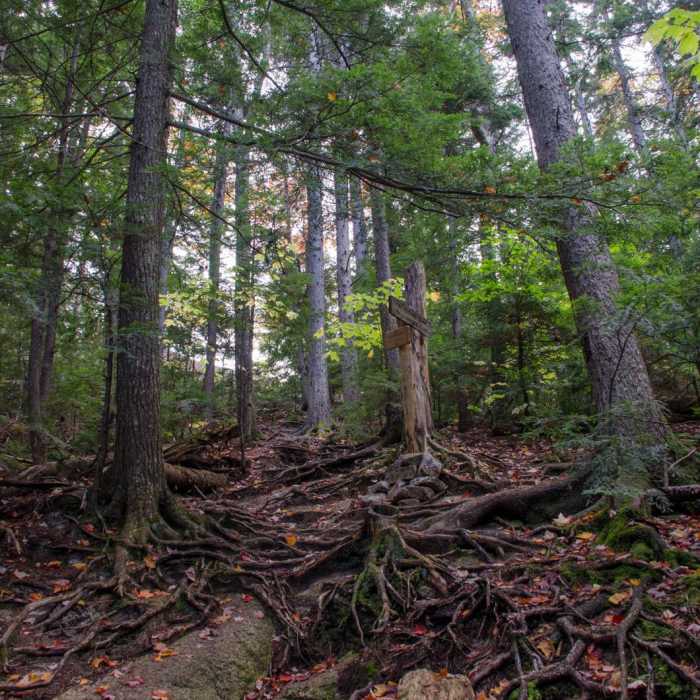 Near Hedgehog Mountain Near Hedgehog Mountain