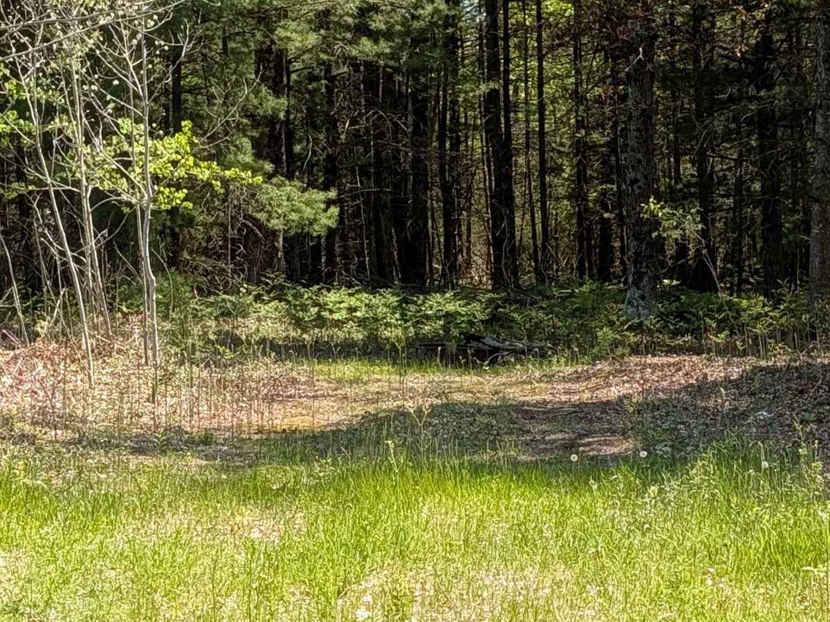 South Eddy Creek Trail photo 6