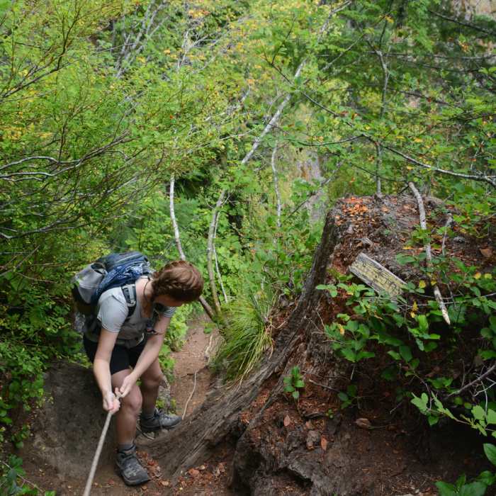 Near Kings Mountain Trail