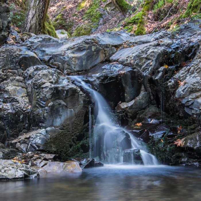 Near Waterfall Loop Nature Trail Near Waterfall Loop Nature Trail