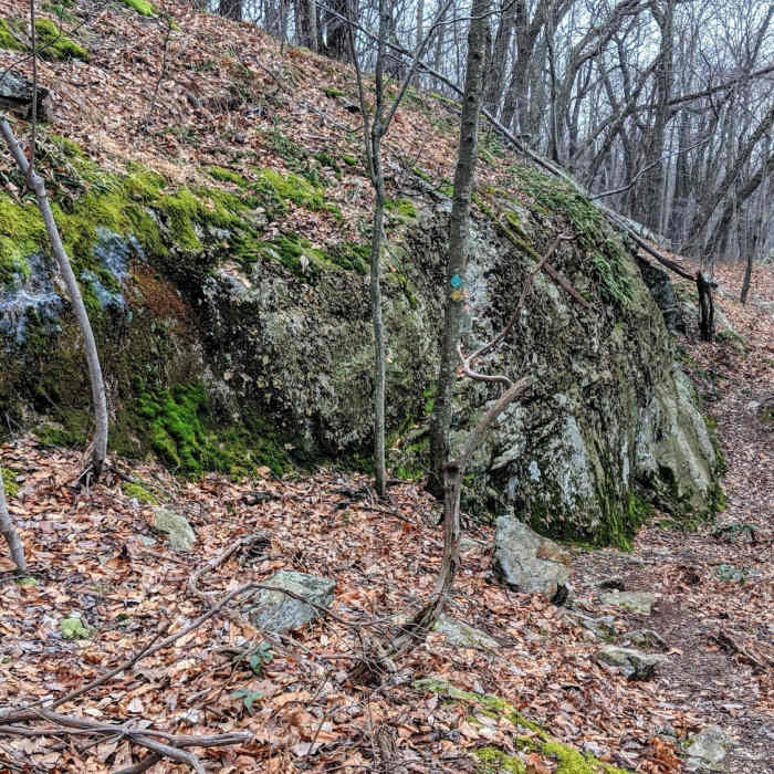 Near Lake Hopatcong Trail: Morris Canal to Prospect Point