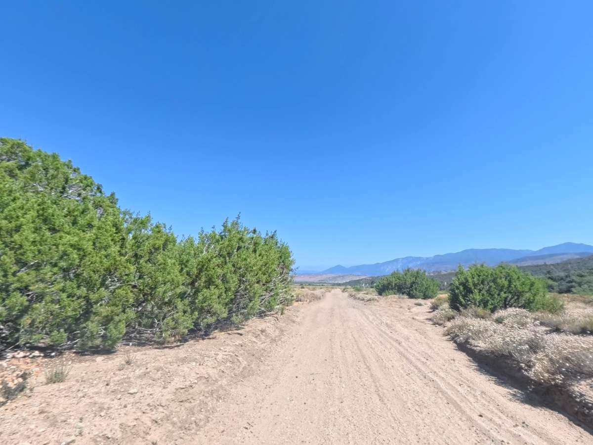 Maxey Ranch Road Spur photo 4