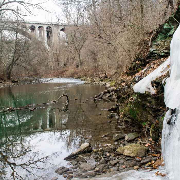 Near Wissahickon Valley Park Near Wissahickon Valley Park