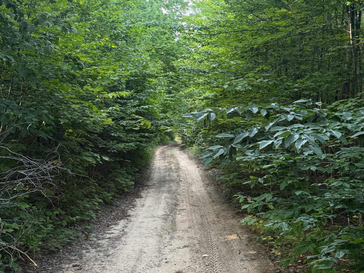 N 3 Trail trail photo