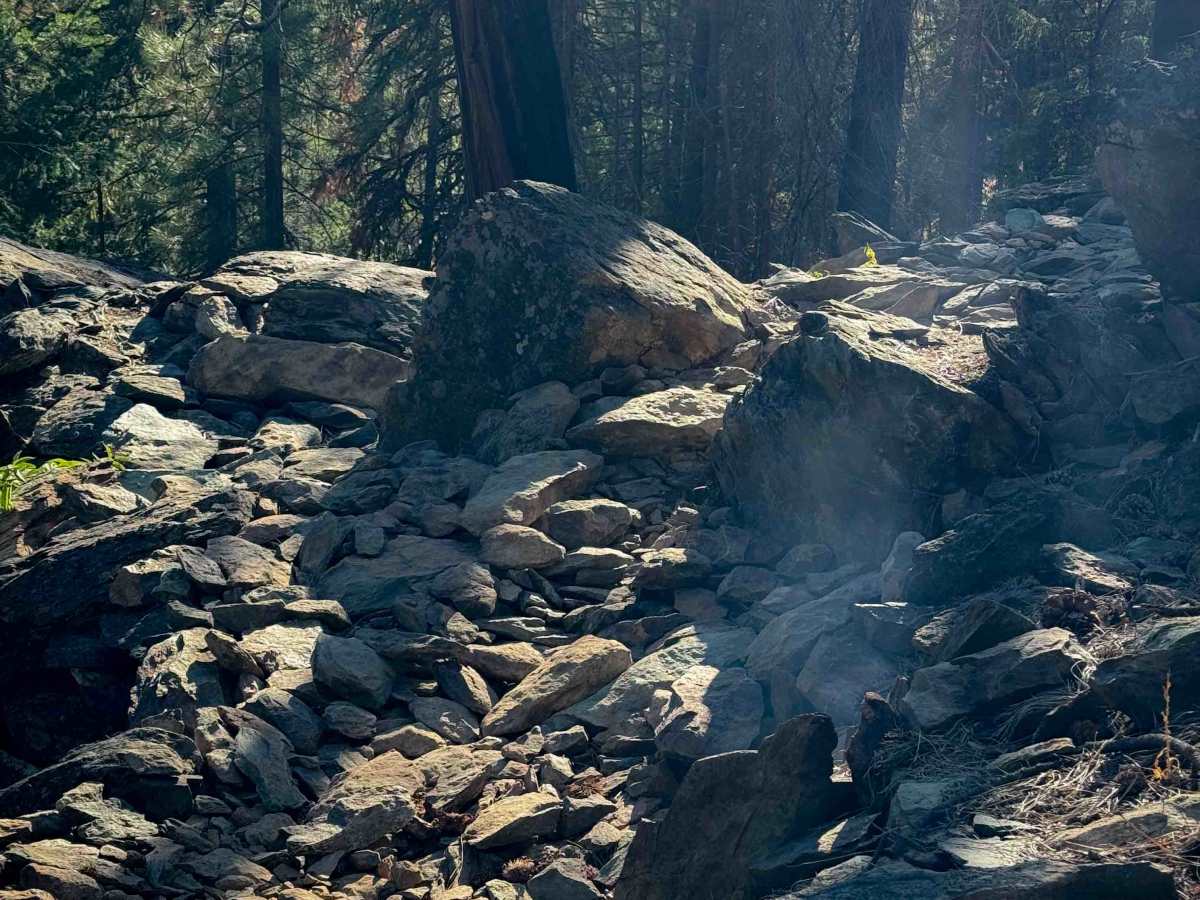 Lower Tollgate  trail photo