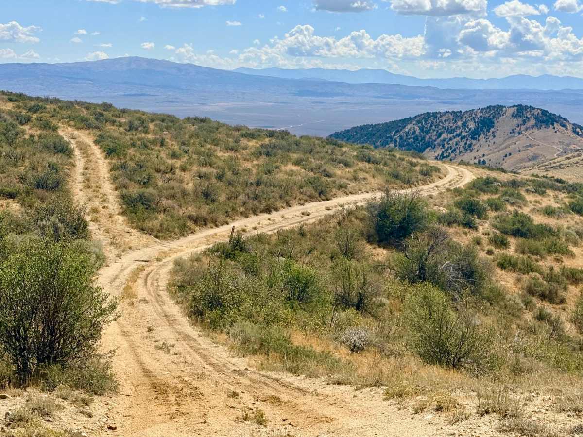  Longhair Trail photo 5