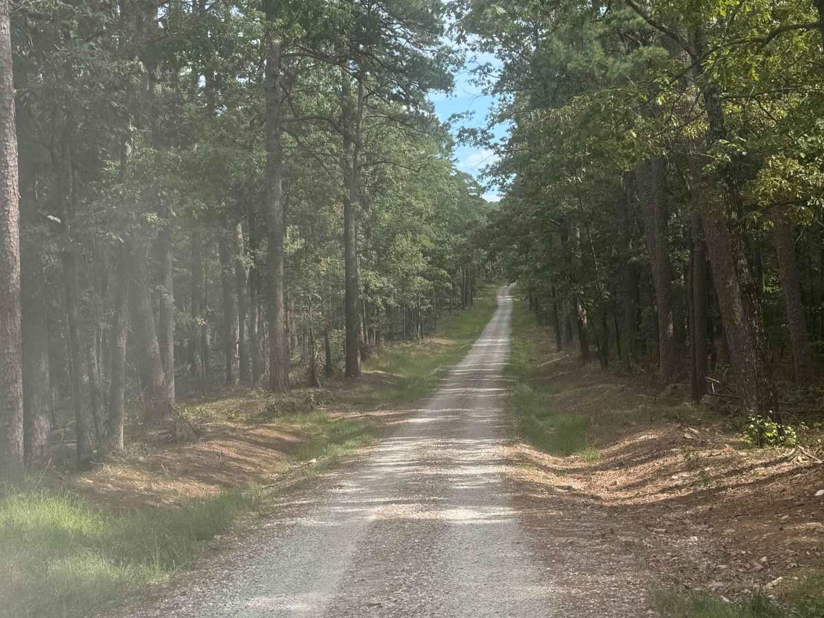 Angling Pinnacle trail photo