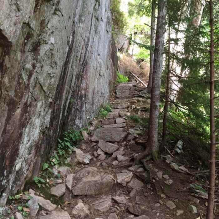 Near Beech Cliff Trail