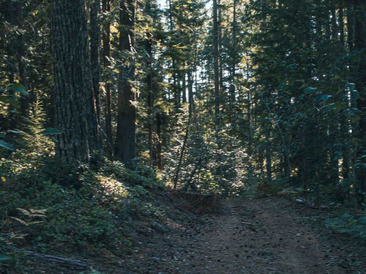 Cougar Spur photo 4