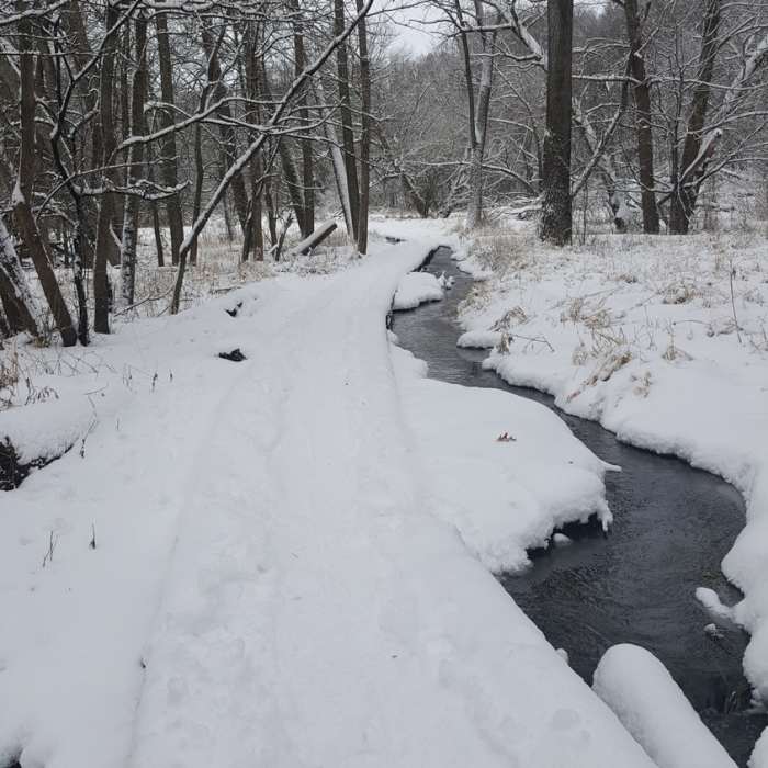 Near Indian Creek Trail