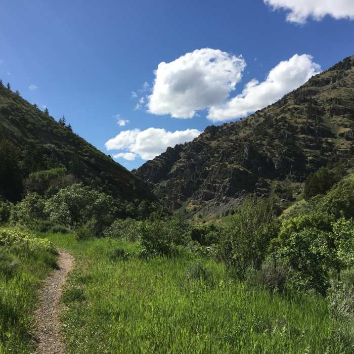 Black Smith Fork River Trail Near Blacksmith Fork River Trail