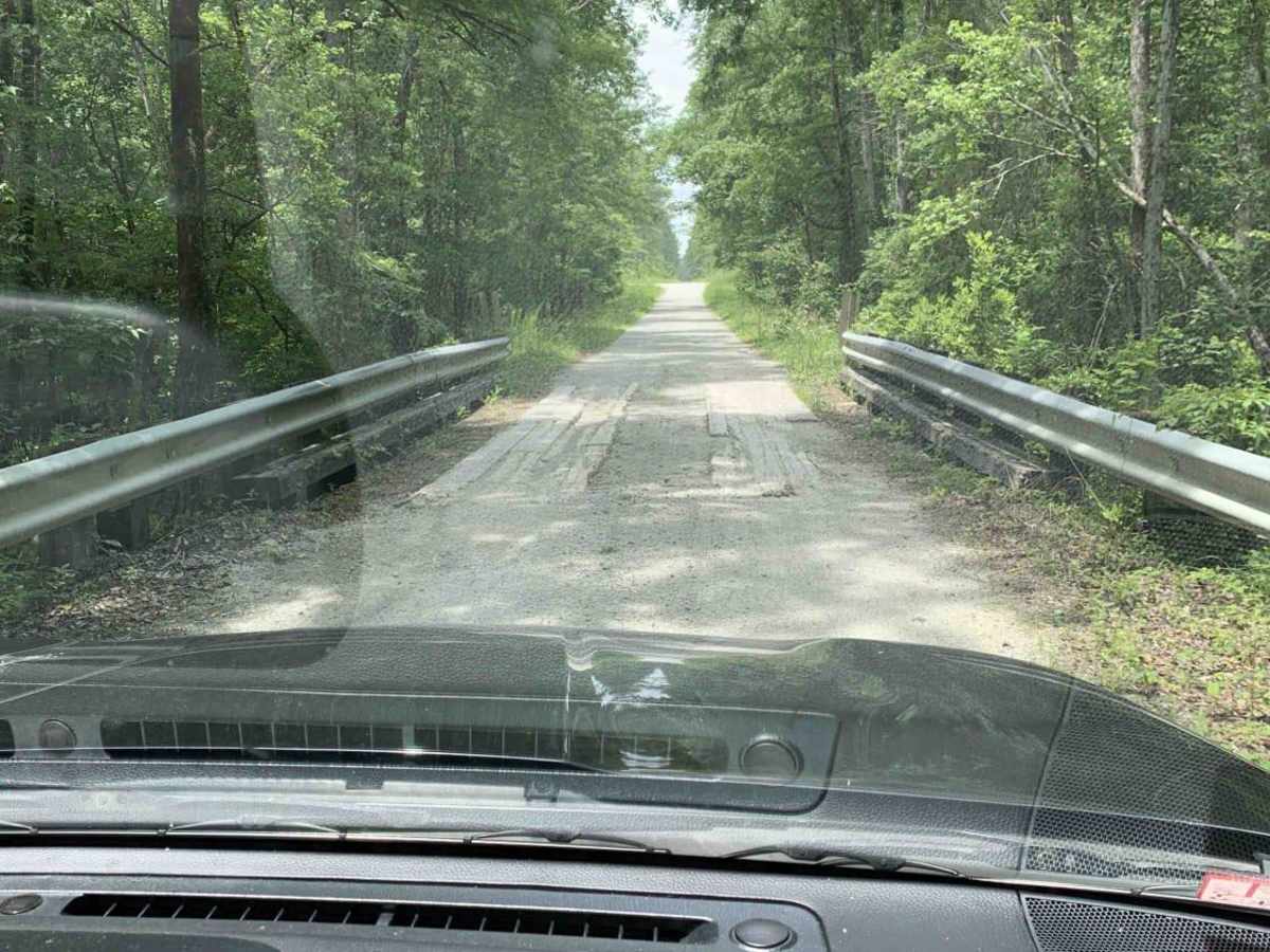 Holston Hunter Trail photo 2