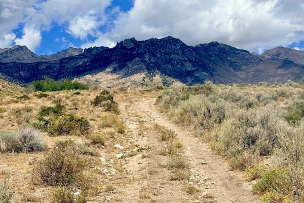 Baxter Creek - FS 57148