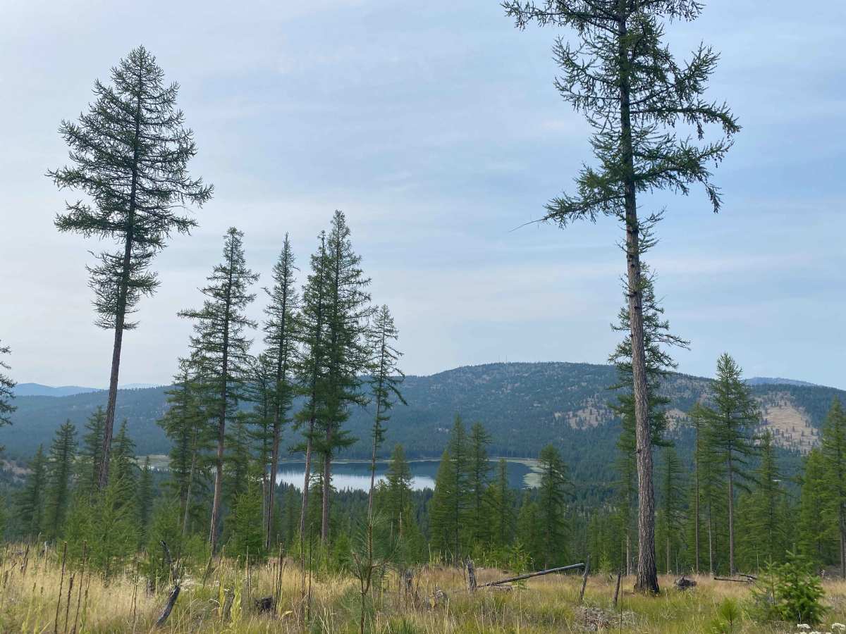 Haskill Divide trail photo