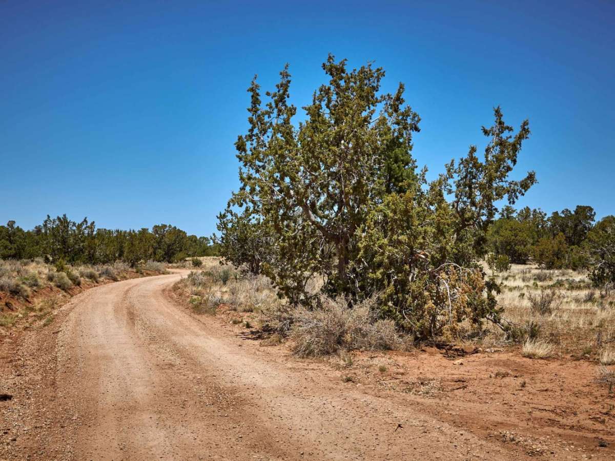 Red Butte Road photo 6