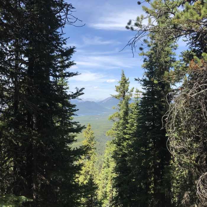 Near Kananaskis Fire Lookout