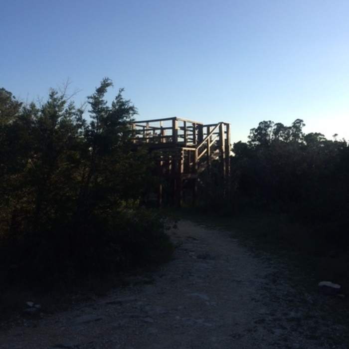 Observation Tower at high point on trail Near Cedar Flats Trail