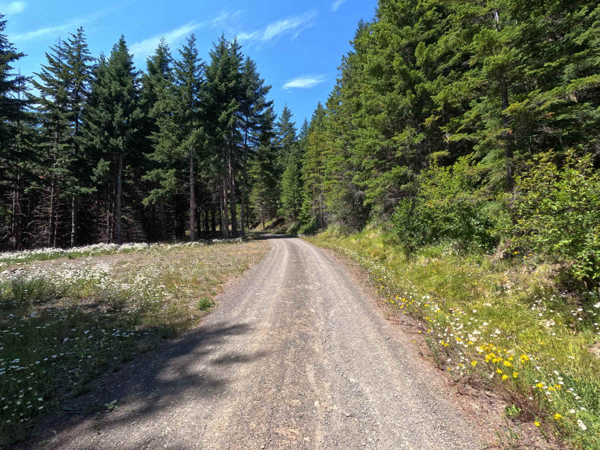 FS 2870270 photo 4