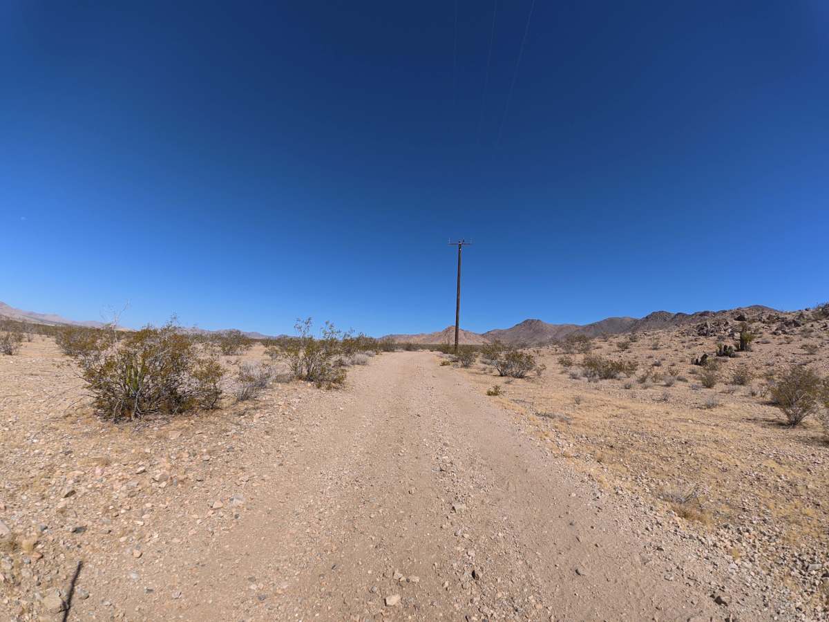 Fern Road photo 6