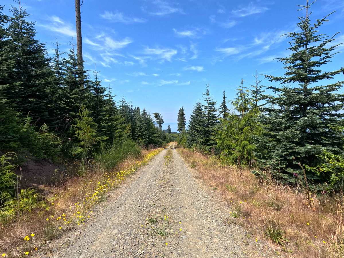 East Twin River Road photo 6