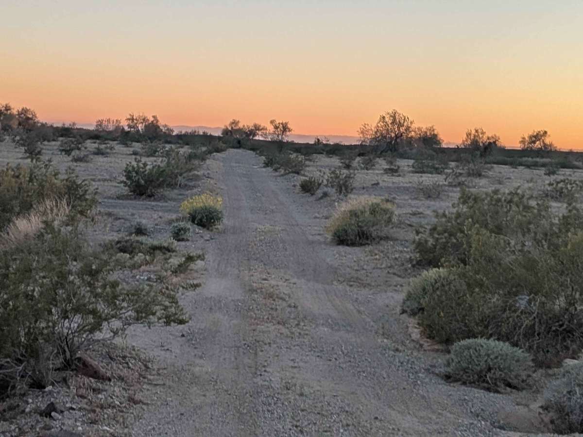 BLM 640 photo 5