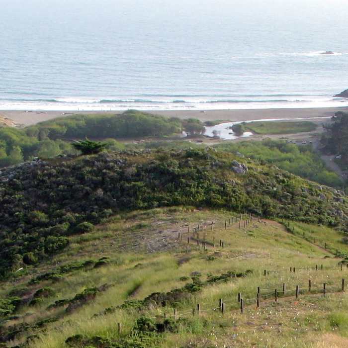 Near Rabbit Chase 30K