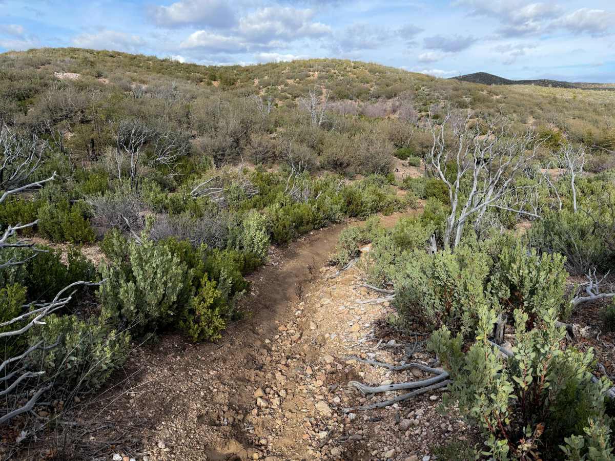 Cottonwood Trail #8 (ATV)  photo 3