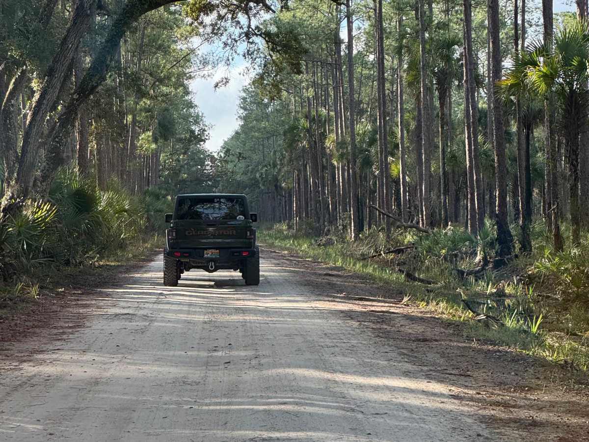 Fish Hole Road trail photo