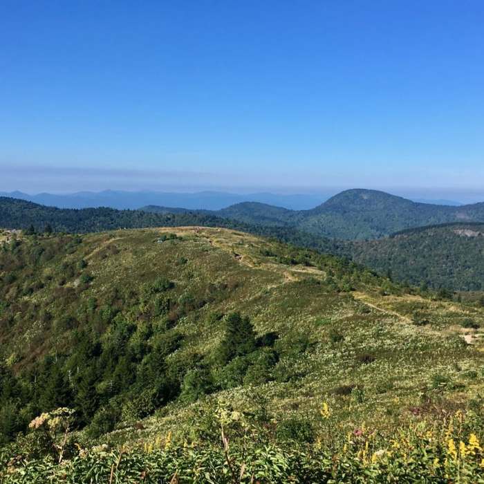 Near Black Balsam Loop via Art Loeb Trail Near Black Balsam Loop via Art Loeb Trail