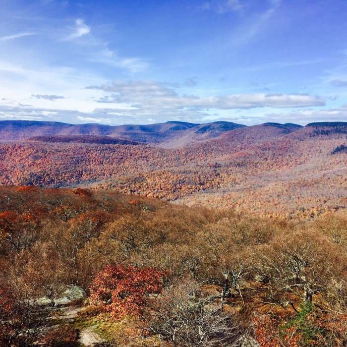 Near Overlook Mountain Trail