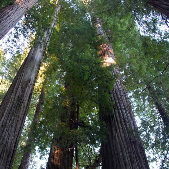 Near Stout Memorial Grove